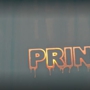 The Screen Print Factory