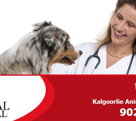 The Animal Hospital - Kalgoorlie, WA