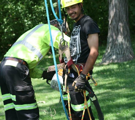 Precise Tree Care, Inc. - Frankfort, IL