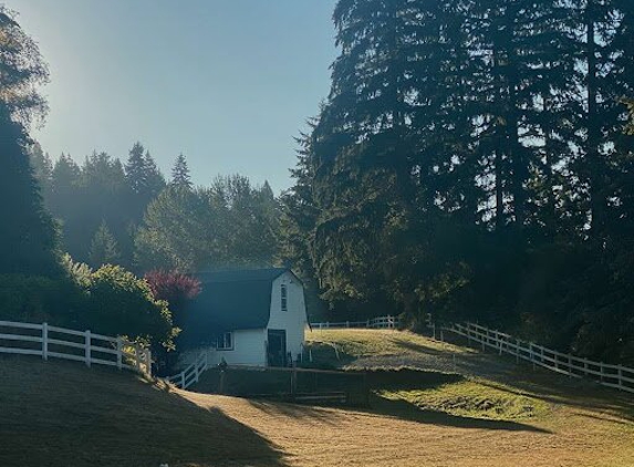 Dabasinskas, Tori, LMFT - Issaquah, WA