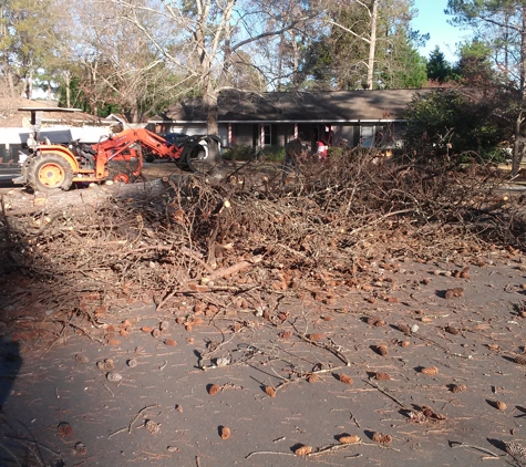 Dan The Stump Man - Marshallville, GA