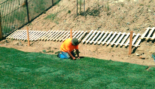 Palacios Landscaping & Tree Service - Hemet, CA