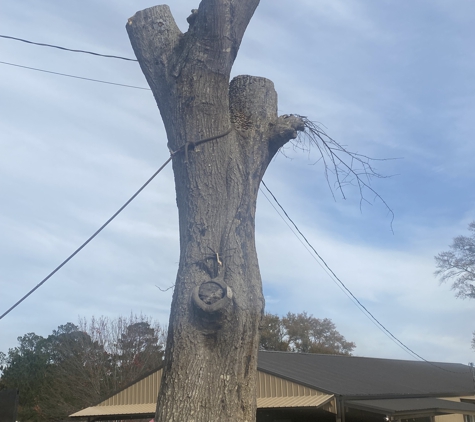 B & H Tree Service - Amory, MS