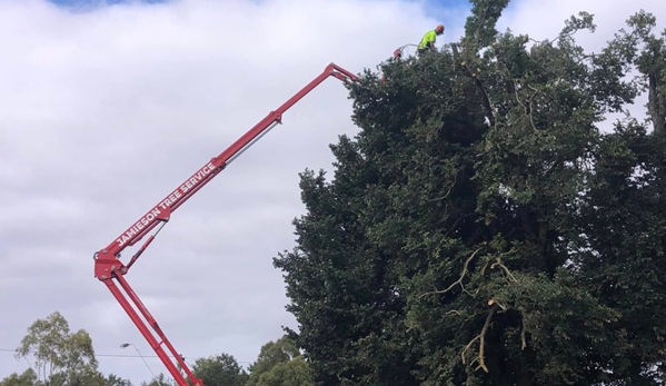 Rob Jamieson Tree & Stump Removal - Colac East, VIC