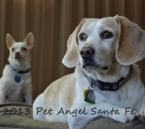 Pet Angel, LLC - Santa Fe, NM