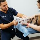 Veterinary Eye Center of New York City - Hell's Kitchen - Veterinarians
