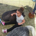 Piglet N Pals Mobile Petting Zoo