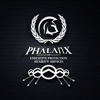 Phalanx Executive Protection Security Services gallery