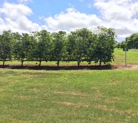 Ka'u Coffee Mill - Pahala, HI