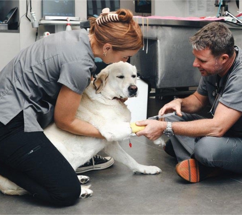 The Point Veterinarian - Paradise Point, QLD