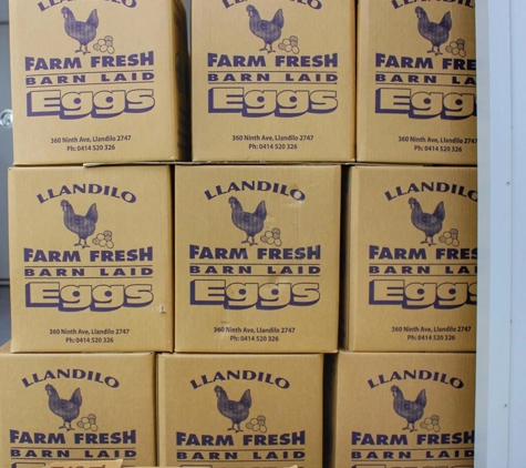 Llandilo Farm Fresh Eggs - Llandilo, NSW