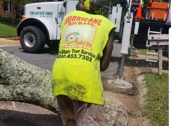 Tri-State Tree Service - Gulf Breeze, FL