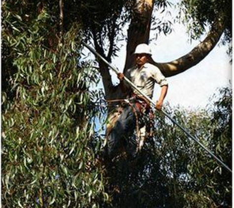 One Tripp Tree Service - San Diego, CA