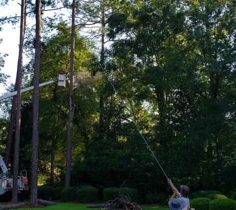 Cannon Tree And Lawn Service - Adel, GA