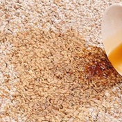 Gallery Image Number 3