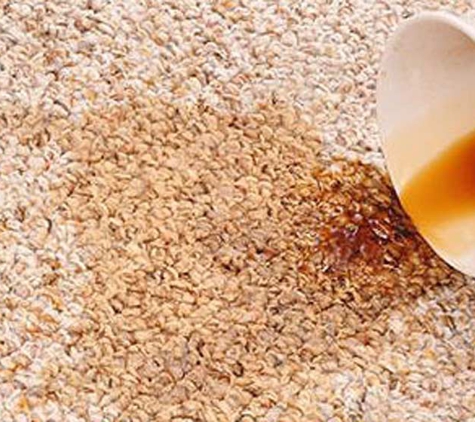Springfresh Carpet Cleaning - Curlewis, VIC