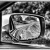 Kaylee Prebeck Photography gallery