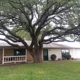 Centex Tree Solutions