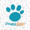 Doggy Days Pet Services gallery