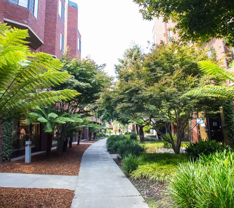 Carbon Health - San Francisco, CA. What a lovely walk-way!