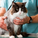 Chartiers Animal Hospital - Veterinarians