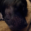 Frank J Kearse DVM - Veterinarians