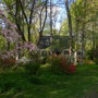 Re/Max - Homes for sale in Woodbridge Virginia. | Walsh Team Realty
