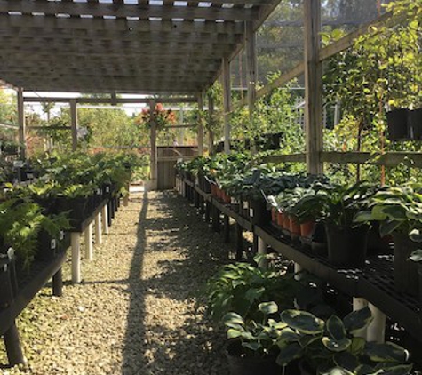 Danchris Nursery - Streator, IL