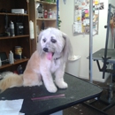 Proud Pooch - Pet Grooming