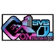 SMS Construction NY Corp