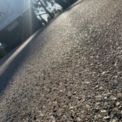 Gallery Image Number 7