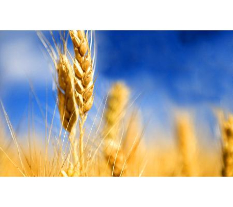 Heytesbury Stockfeeds Pty Ltd - Simpson, VIC