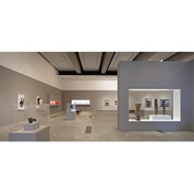Gallery Image Number 2