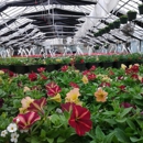 Scioto Blooms Greenhouse - Greenhouses