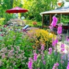 Chesapeake Landscape Group gallery