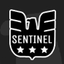 Sentinel Security & Investigations Inc.