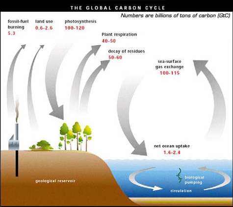 ENSYSS Professional MEP/Energy Consultants - Palm Desert, CA. Solutions that Reduce 
 your Carbon Footprint