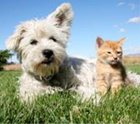 A Quality Care Veterinarian Hospital - Livonia, MI