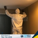 FDP Mold Remediation of North Miami - Mold Remediation