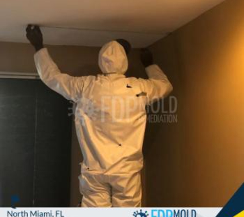 FDP Mold Remediation of North Miami - North Miami, FL