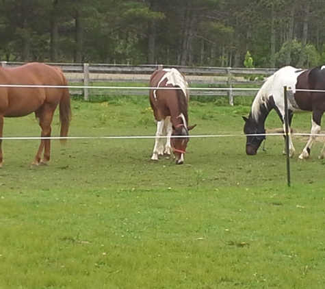 Double J Ranch Boarding Stable, Indoor Arena and Hobby Farm - Hale, MI