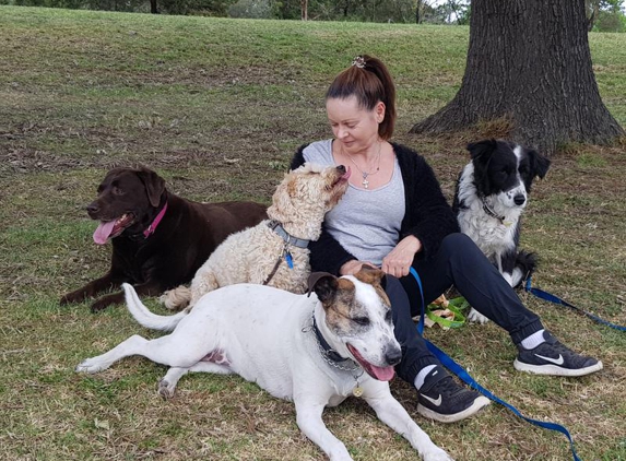 E & A Salce Pty Ltd - Thornbury, VIC. I always shop at Salce for wholesale prices  to the public and their holistic range of pet food.