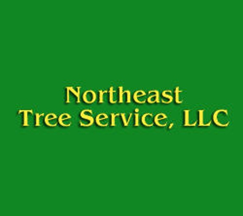 Northeast Tree Services - Stratford, CT