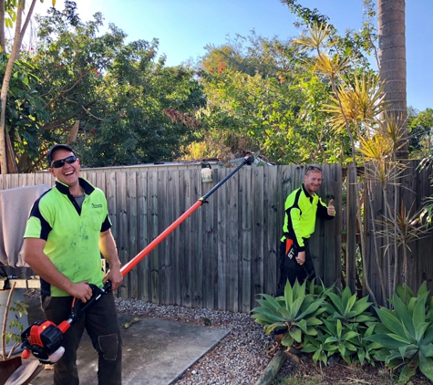 All Tree And Palm Trimming And Removal