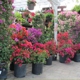 Coral Springs Nursery