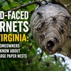 All-Stars Pest Control