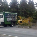 Evergreen Tree Care - Arborists