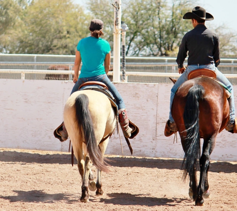 Desert Bloom Horse Training and Sales - San Tan Valley, AZ