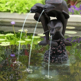 Living Ponds - Welshpool, WA