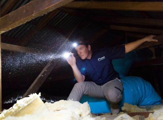 Asset Building & Pest Inspections